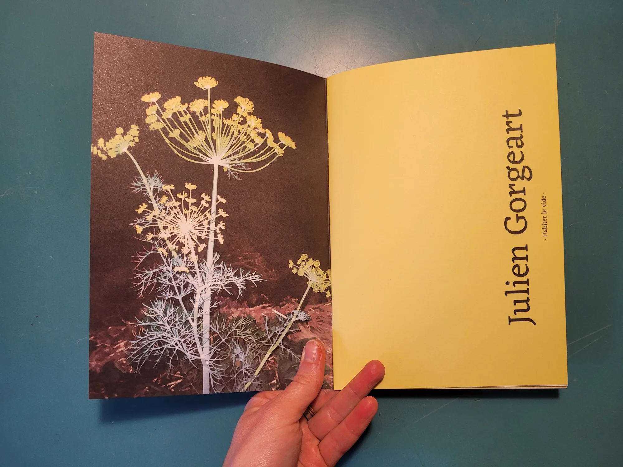 Julien Gorgeart, Habiter le vide, vue du catalogue